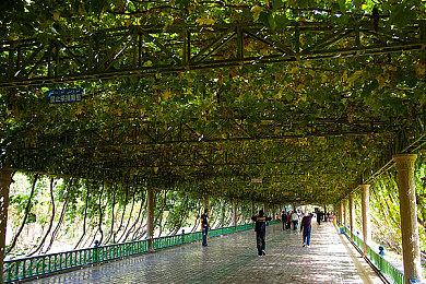 《精灵与萤火意志》新史低促销 Steam在线超1.6万